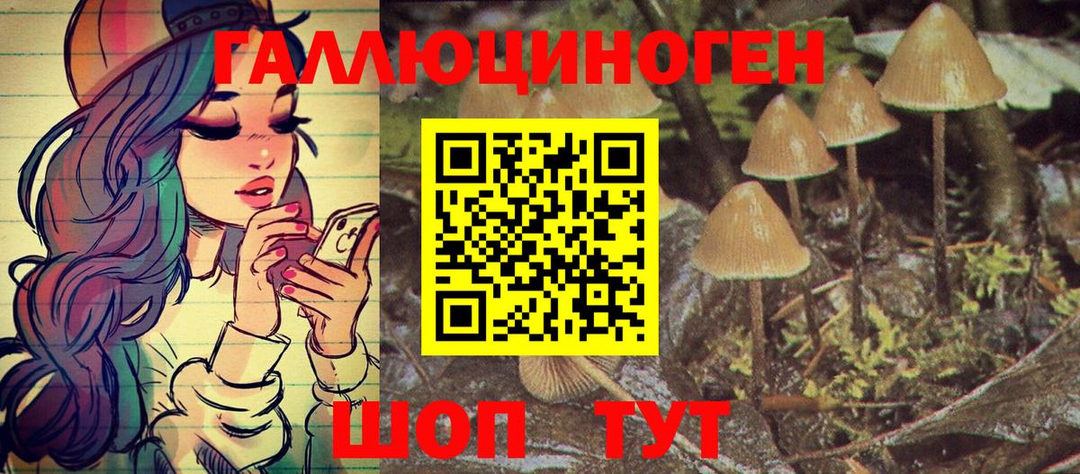 Галлюциногенные грибы Psilocybine cubensis  Вход с VPN  Киселёвск 